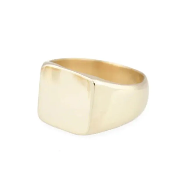 Modern Classic Signet - 14k Gold